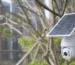 solar-powered-cctv-cameras